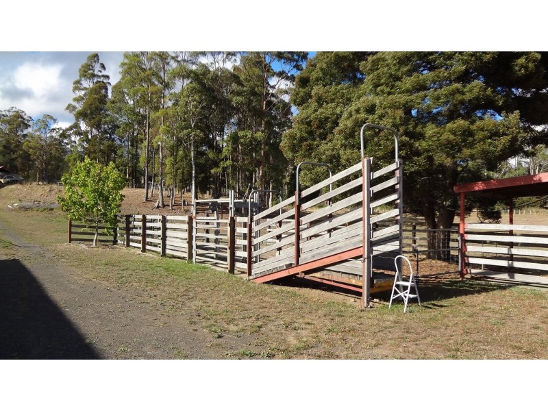 209 Mount Barrow Road, Nunamara TAS 7259