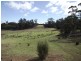 . Old Coach Road, Cranbrook TAS 7190