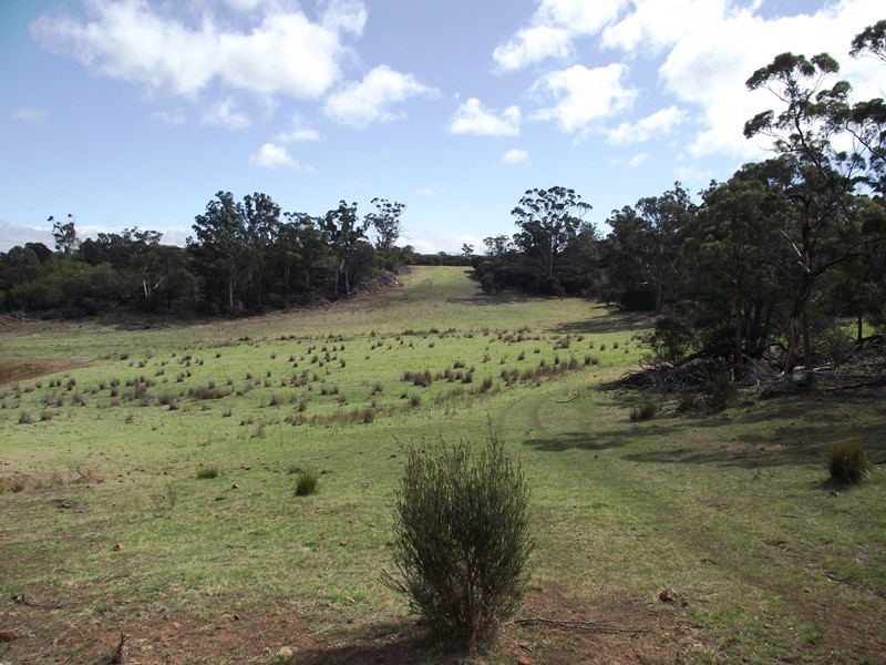 . Old Coach Road, Cranbrook TAS 7190