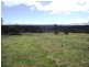 . Old Coach Road, Cranbrook TAS 7190