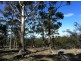 . Old Coach Road, Cranbrook TAS 7190