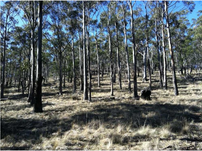 . Old Coach Road, Cranbrook TAS 7190