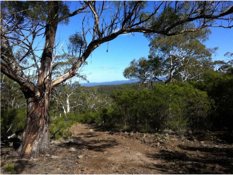 . Old Coach Road, Cranbrook TAS 7190