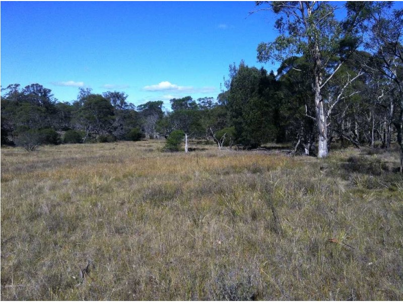 . Old Coach Road, Cranbrook TAS 7190