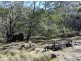 . Old Coach Road, Cranbrook TAS 7190