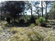 . Old Coach Road, Cranbrook TAS 7190