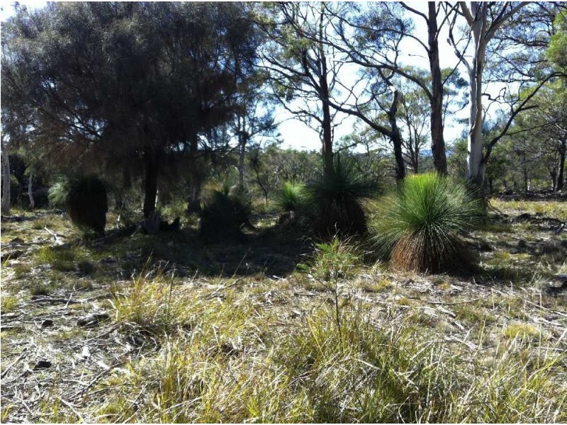 . Old Coach Road, Cranbrook TAS 7190