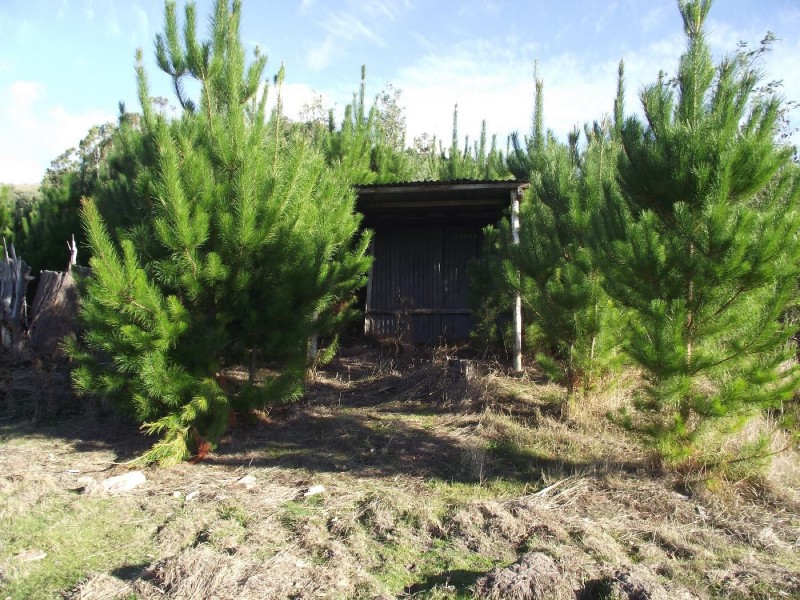 . Ellendale Road, Fentonbury TAS 7140