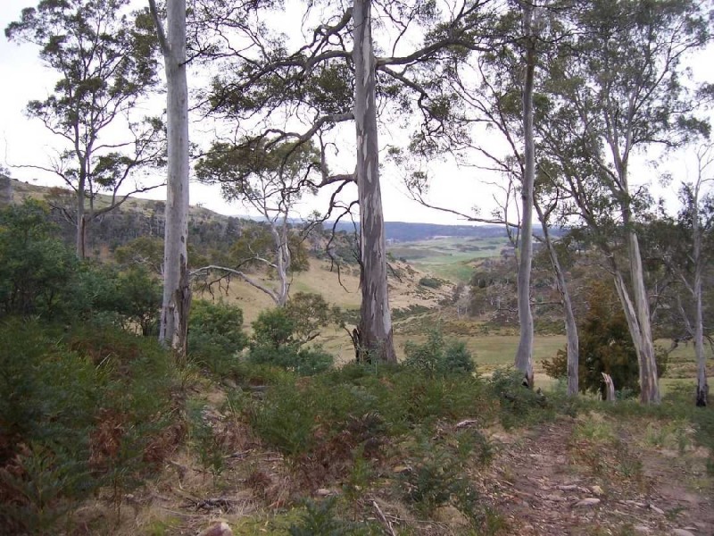 61 Rotherwood Road, Lower Marshes TAS 7030