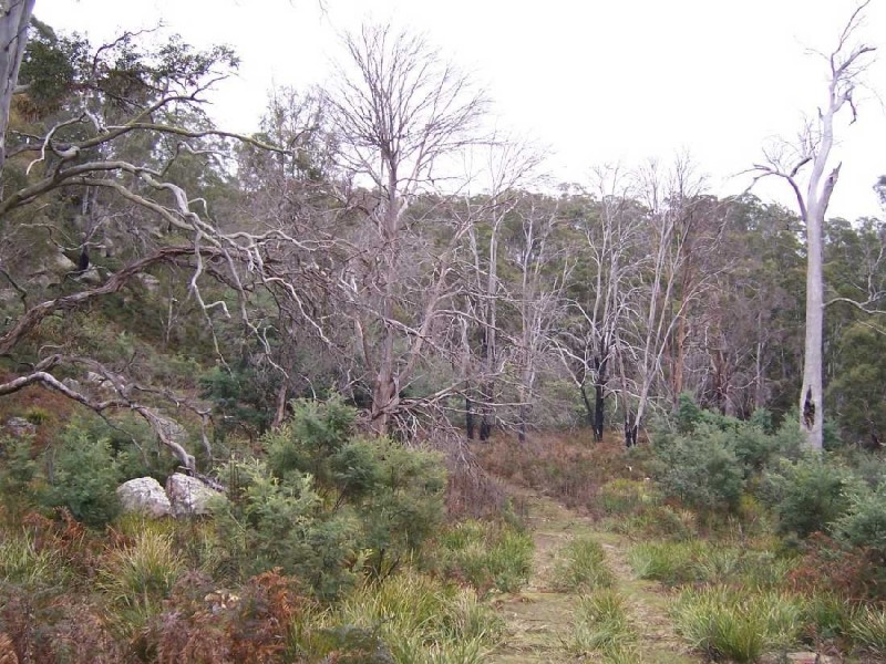 61 Rotherwood Road, Lower Marshes TAS 7030