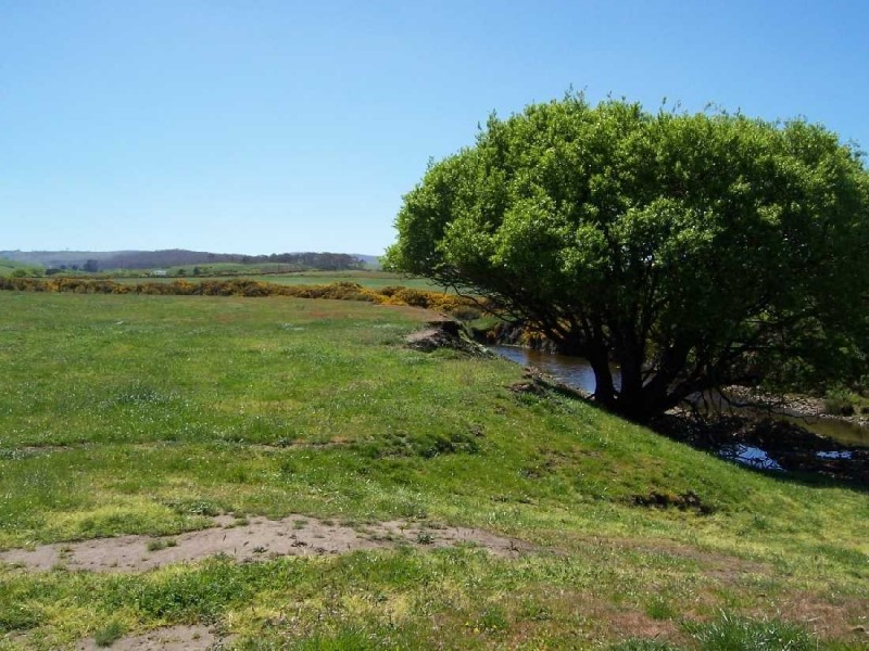 . Rotherwood Road, Lower Marshes TAS 7030