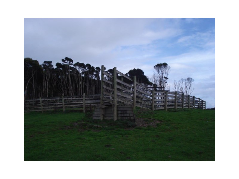 . Off Grassy Road, Pegarah, King Island TAS 7256