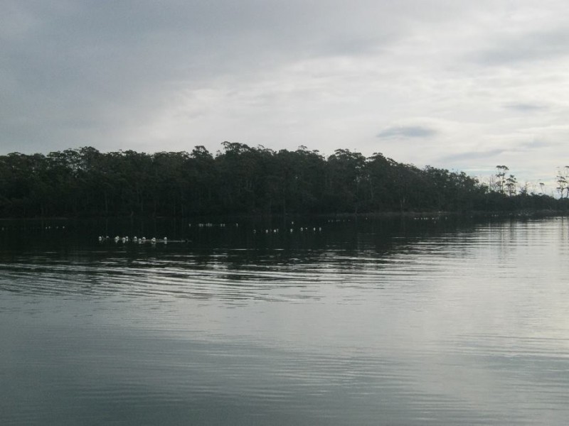 72 Nubeena Road, Taranna TAS 7180