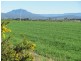364 Beveridges Lane, Hagley TAS 7292