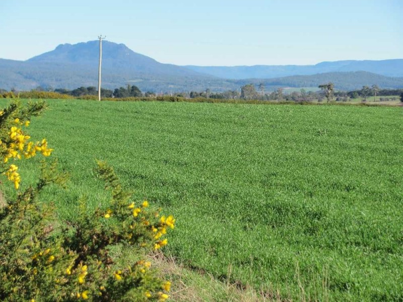364 Beveridges Lane, Hagley TAS 7292