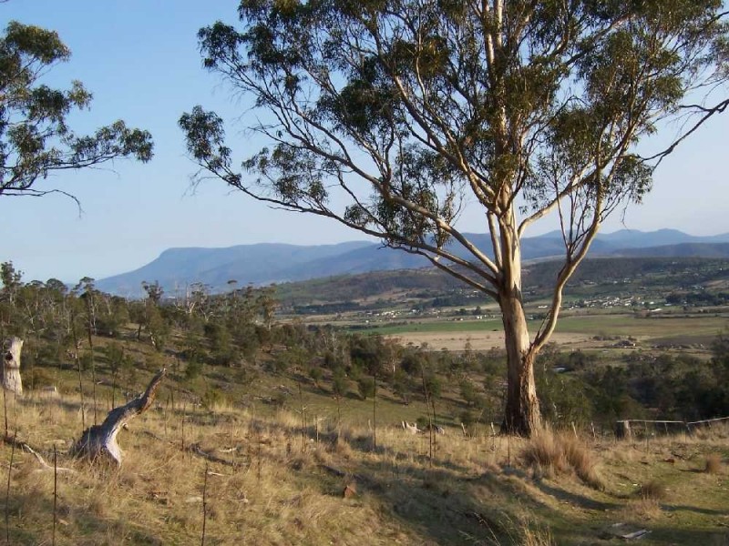 Lot 1 Ballyhooly Road, Mangalore TAS 7030