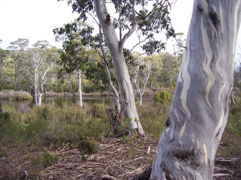 Lot 2 Lyell Highway, Derwent Bridge TAS 7140