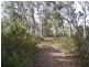Lot 2 Lyell Highway, Derwent Bridge TAS 7140