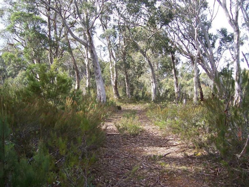Lot 2 Lyell Highway, Derwent Bridge TAS 7140