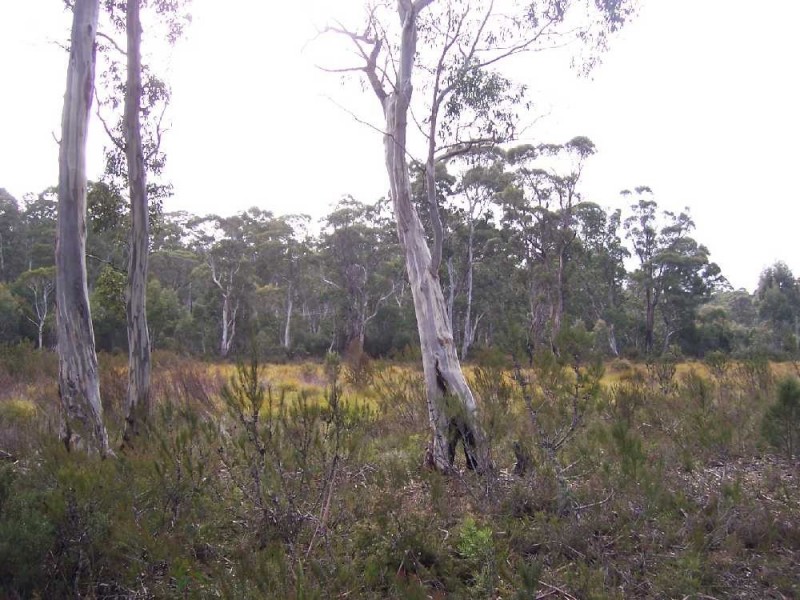 Lot 2 Lyell Highway, Derwent Bridge TAS 7140