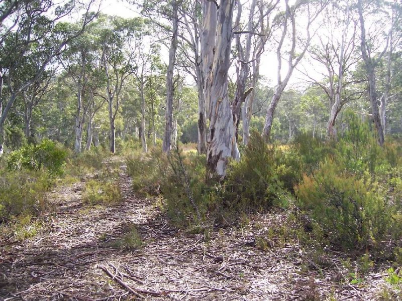 Lot 2 Lyell Highway, Derwent Bridge TAS 7140