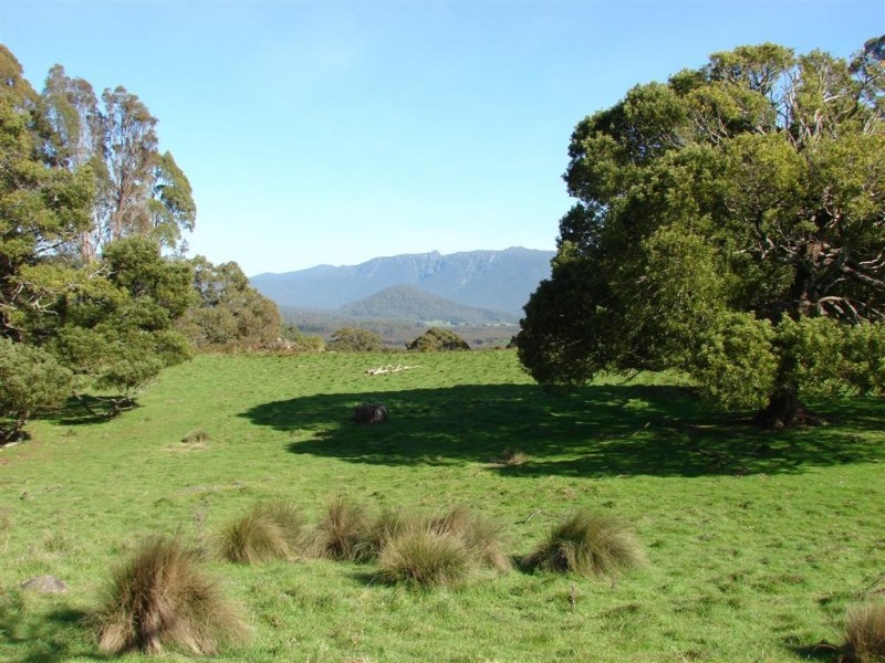 159 Liena Road, Mole Creek TAS 7304