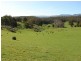 159 Liena Road, Mole Creek TAS 7304
