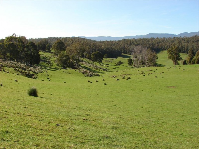 159 Liena Road, Mole Creek TAS 7304