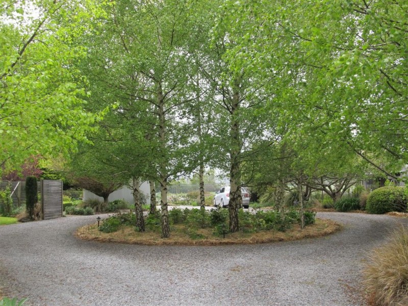 159 Liena Road, Mole Creek TAS 7304