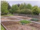 159 Liena Road, Mole Creek TAS 7304