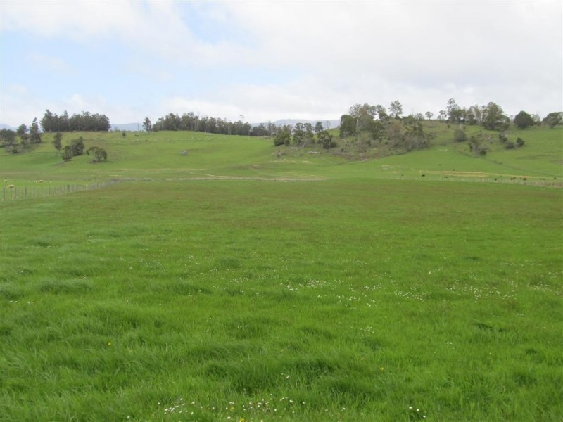 159 Liena Road, Mole Creek TAS 7304