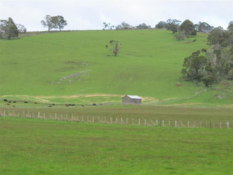 159 Liena Road, Mole Creek TAS 7304