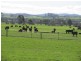 594 Osmaston Road, Osmaston TAS 7303