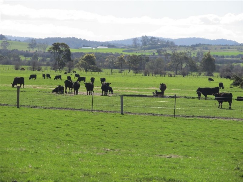 594 Osmaston Road, Osmaston TAS 7303