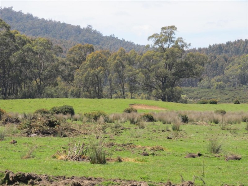 . Larcombes Road, Exton TAS 7303