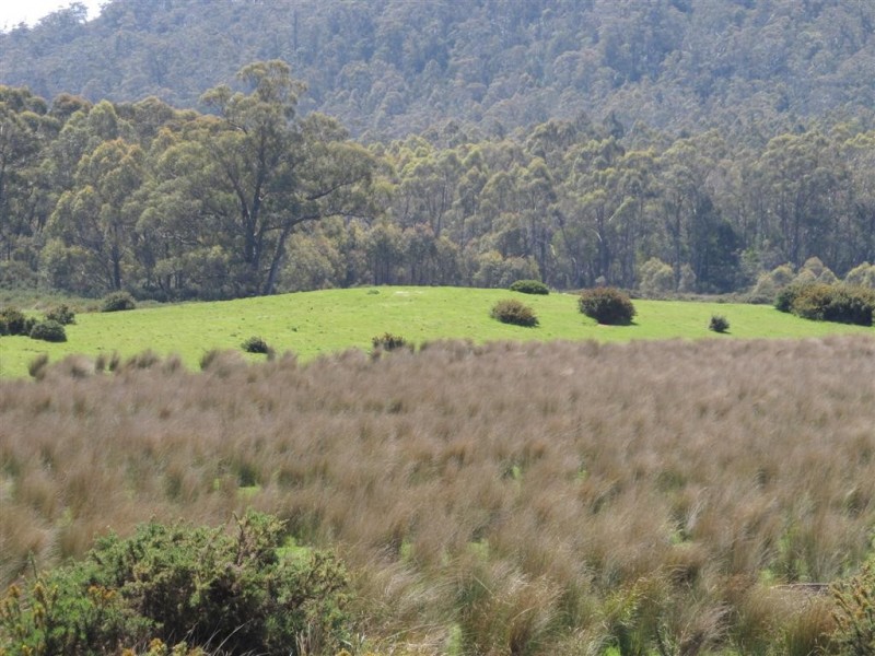 . Larcombes Road, Exton TAS 7303