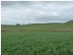 5000 Poatina Road, Cressy TAS 7302