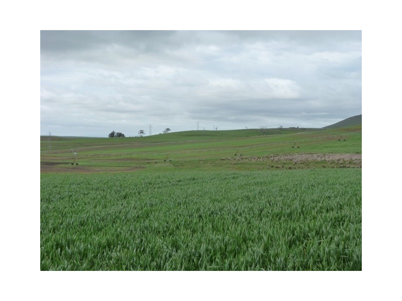 5000 Poatina Road, Cressy TAS 7302