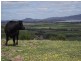 73 East Orielton Road, Orielton TAS 7172