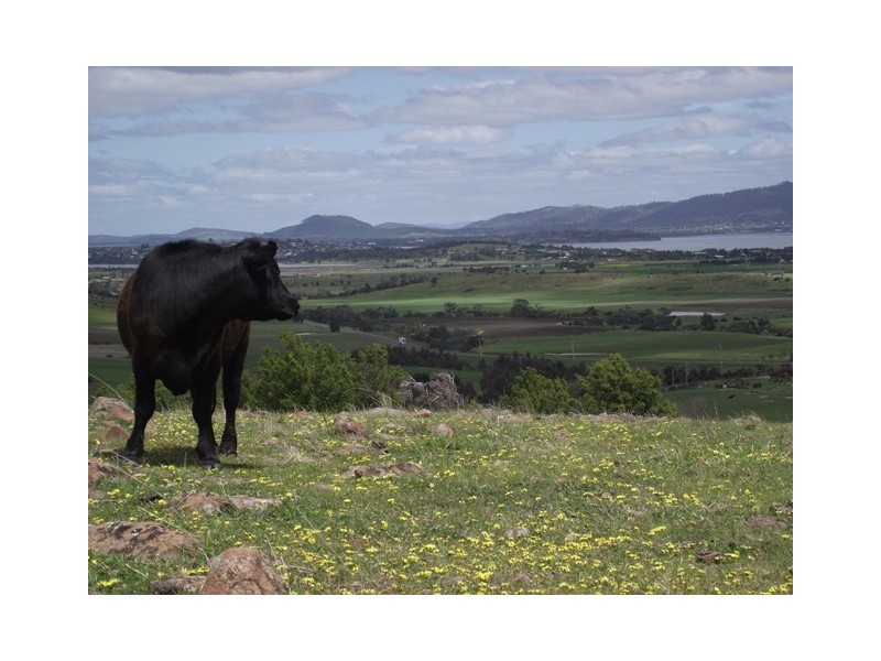 73 East Orielton Road, Orielton TAS 7172