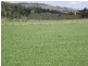 73 East Orielton Road, Orielton TAS 7172