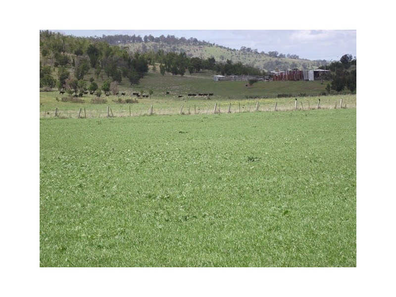 73 East Orielton Road, Orielton TAS 7172