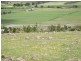 73 East Orielton Road, Orielton TAS 7172