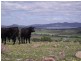 73 East Orielton Road, Orielton TAS 7172