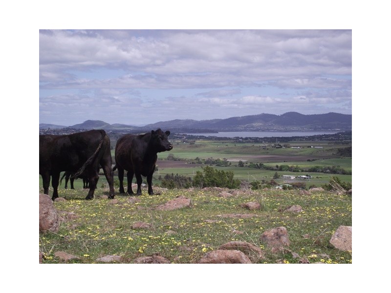 73 East Orielton Road, Orielton TAS 7172