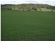 73 East Orielton Road, Orielton TAS 7172