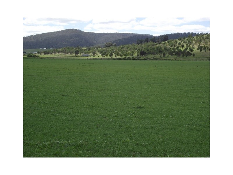 73 East Orielton Road, Orielton TAS 7172