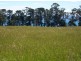 . Nubeena Road, Koonya TAS 7187
