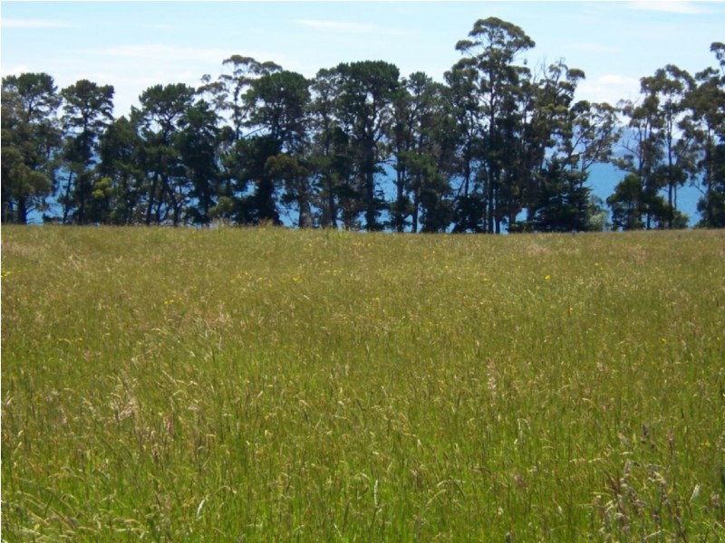 . Nubeena Road, Koonya TAS 7187