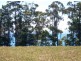 . Nubeena Road, Koonya TAS 7187